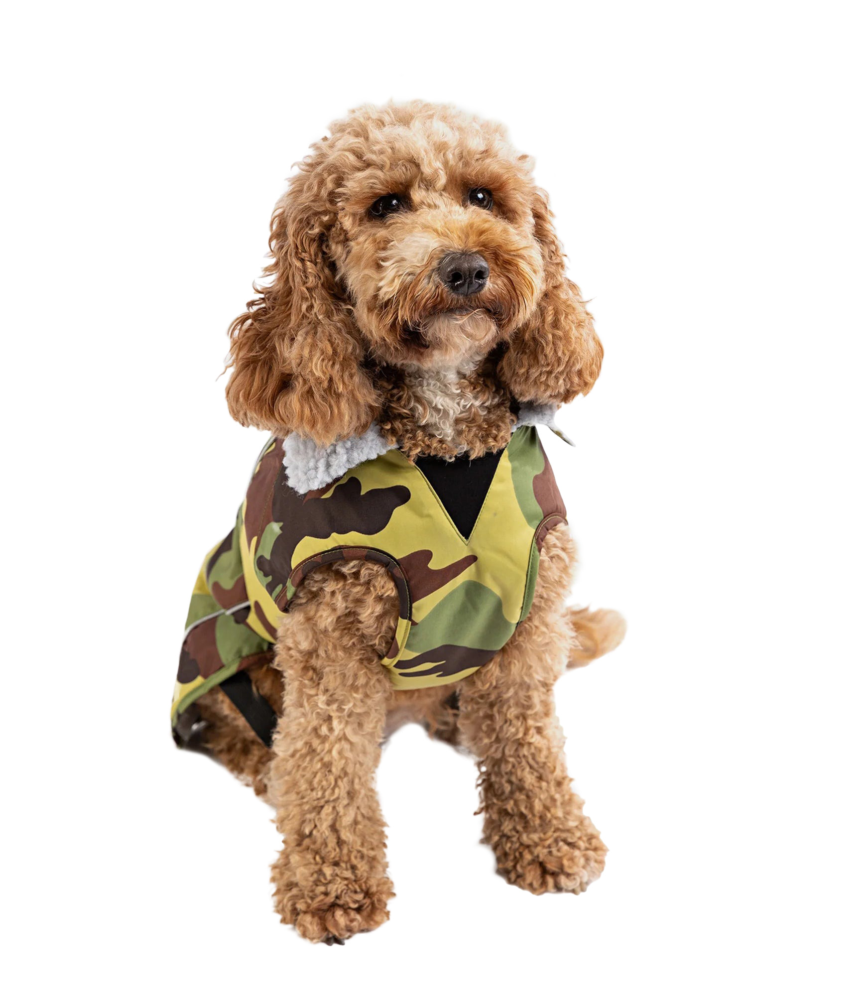 Dryrobe® Hundjacka / hundtäcken