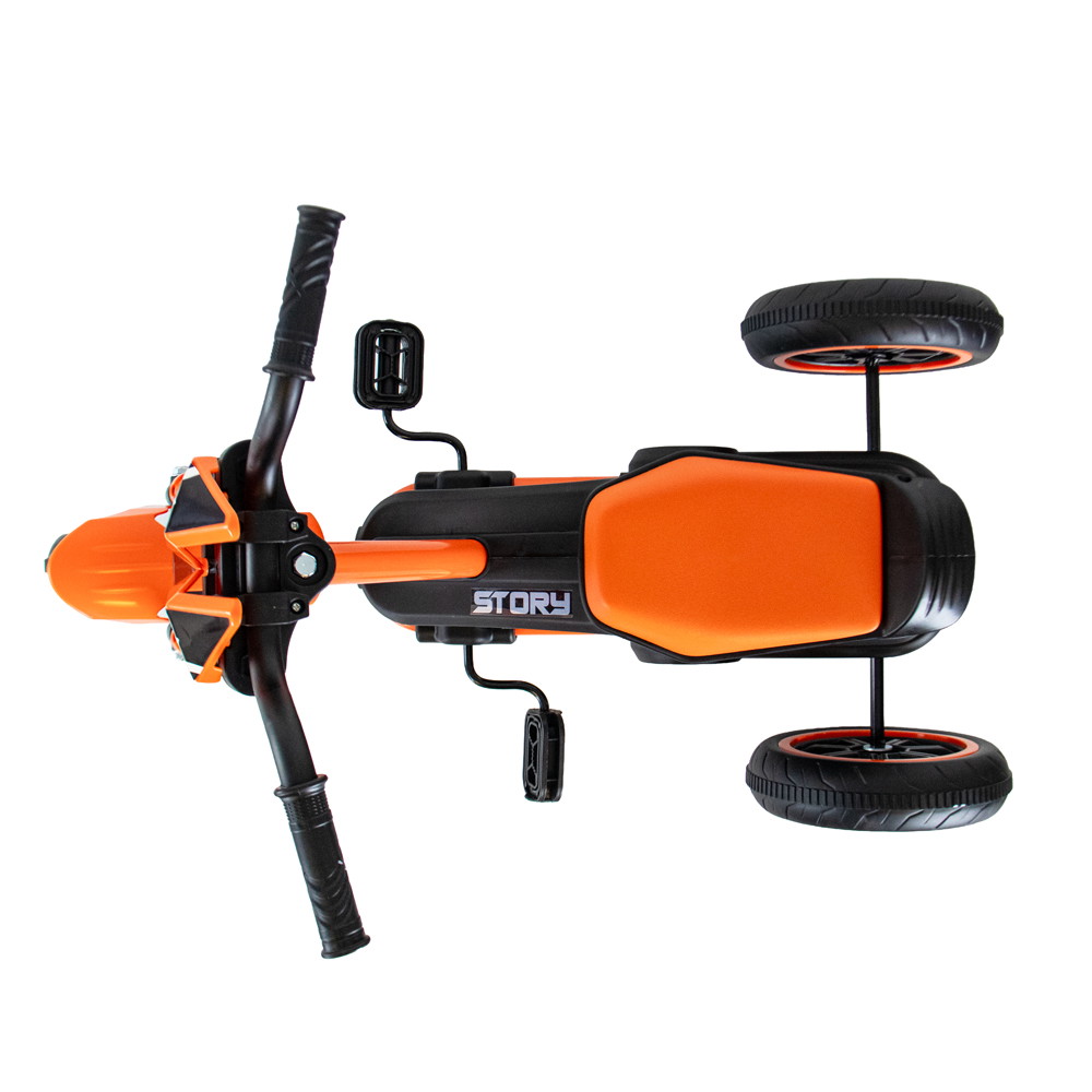 Story GoGo Tricycle
