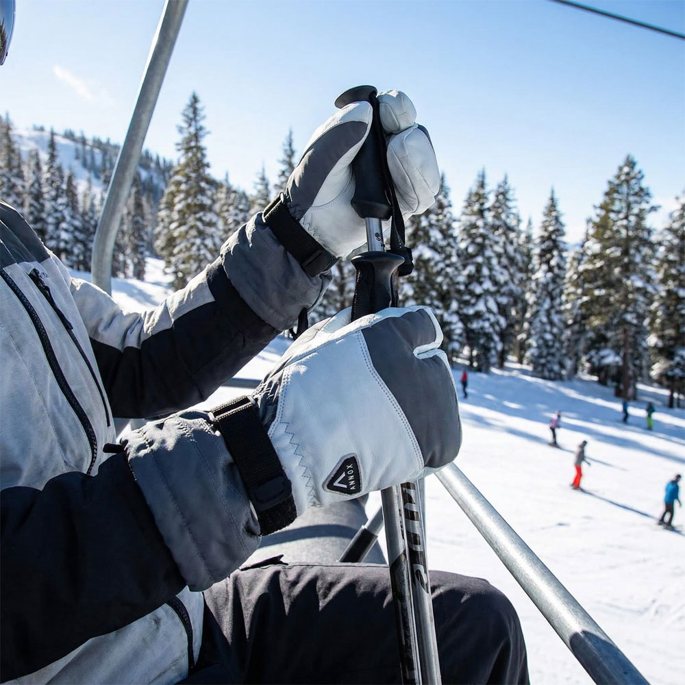 Annox Alpine Skidhandskar i läder