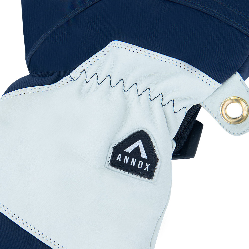 Annox Alpine Skidhandskar i läder